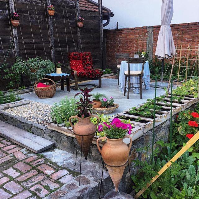 Podrum Miljevic Novi Novi Ledinci Exterior foto